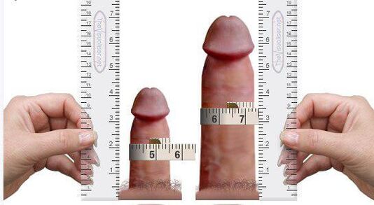 Measure penis for and after lifting at home