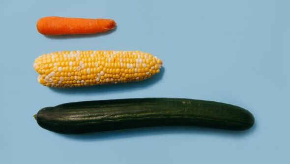 Different size of a male member on vegetable example
