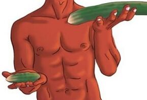 results of penis enlargement on the example of cucumber